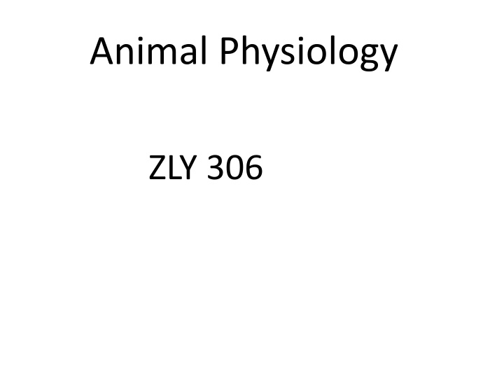 animal physiology