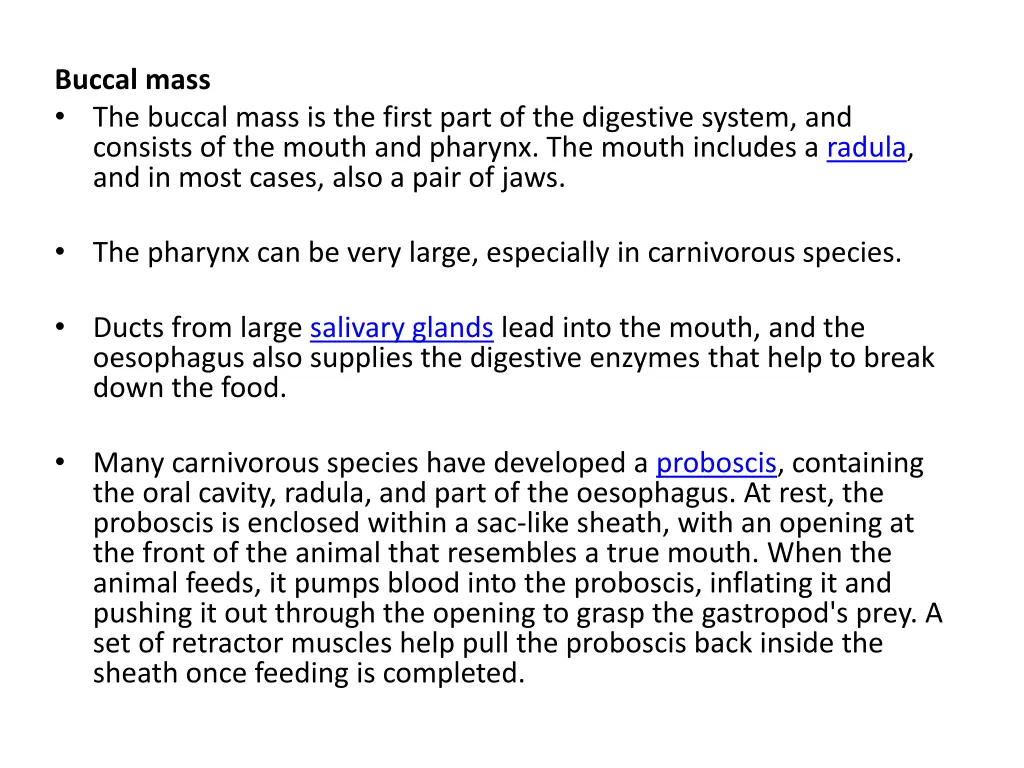 buccal mass the buccal mass is the first part