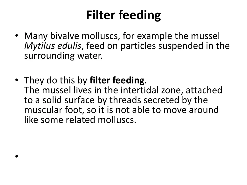 filter feeding