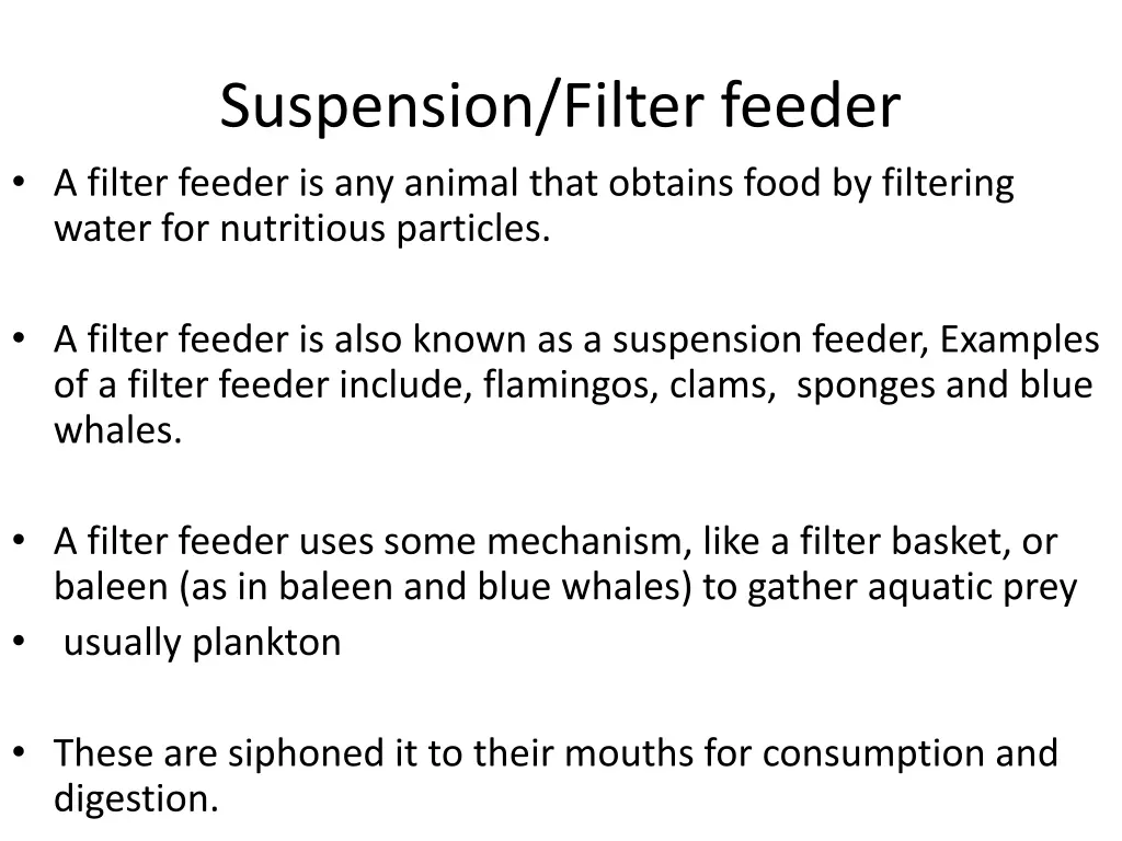 suspension filter feeder a filter feeder