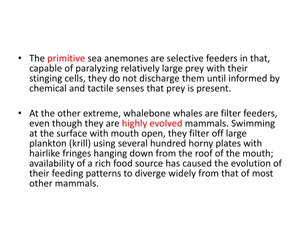 the primitive sea anemones are selective feeders