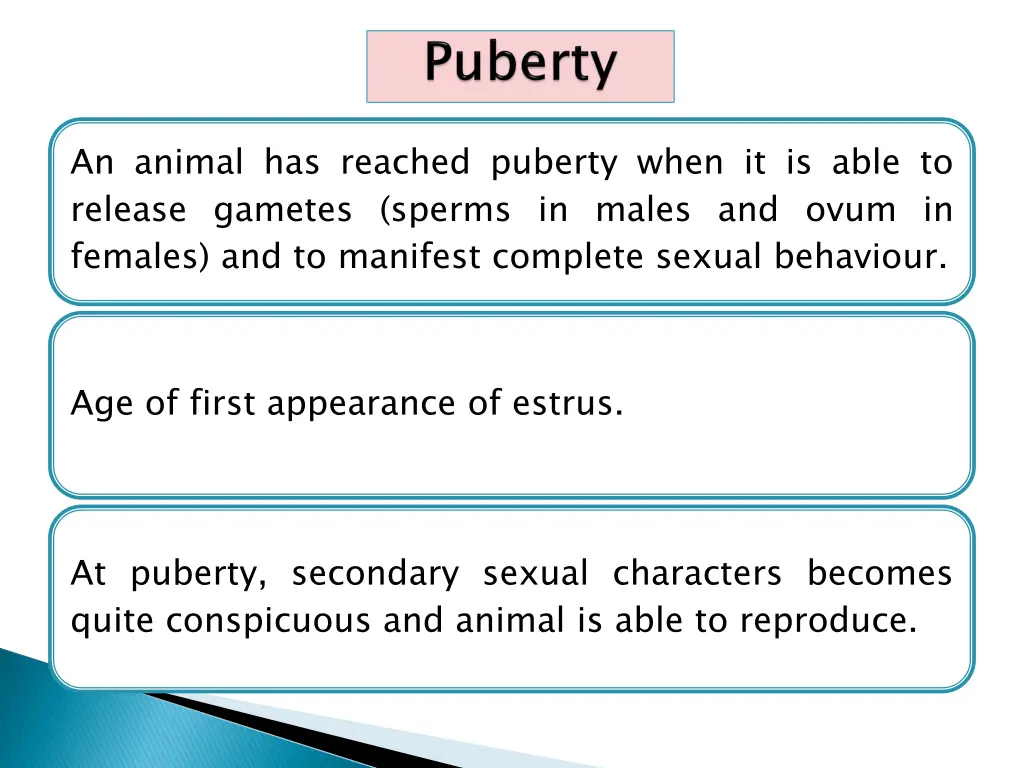 an animal has reached puberty when it is able