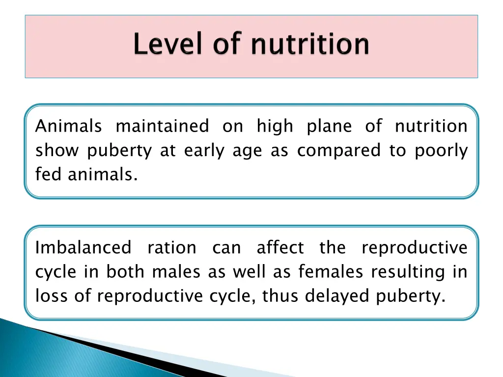 animals maintained on high plane of nutrition