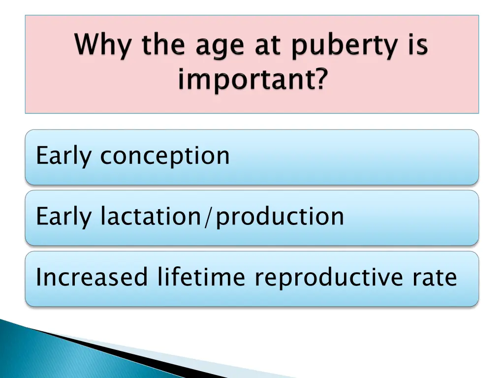 early conception