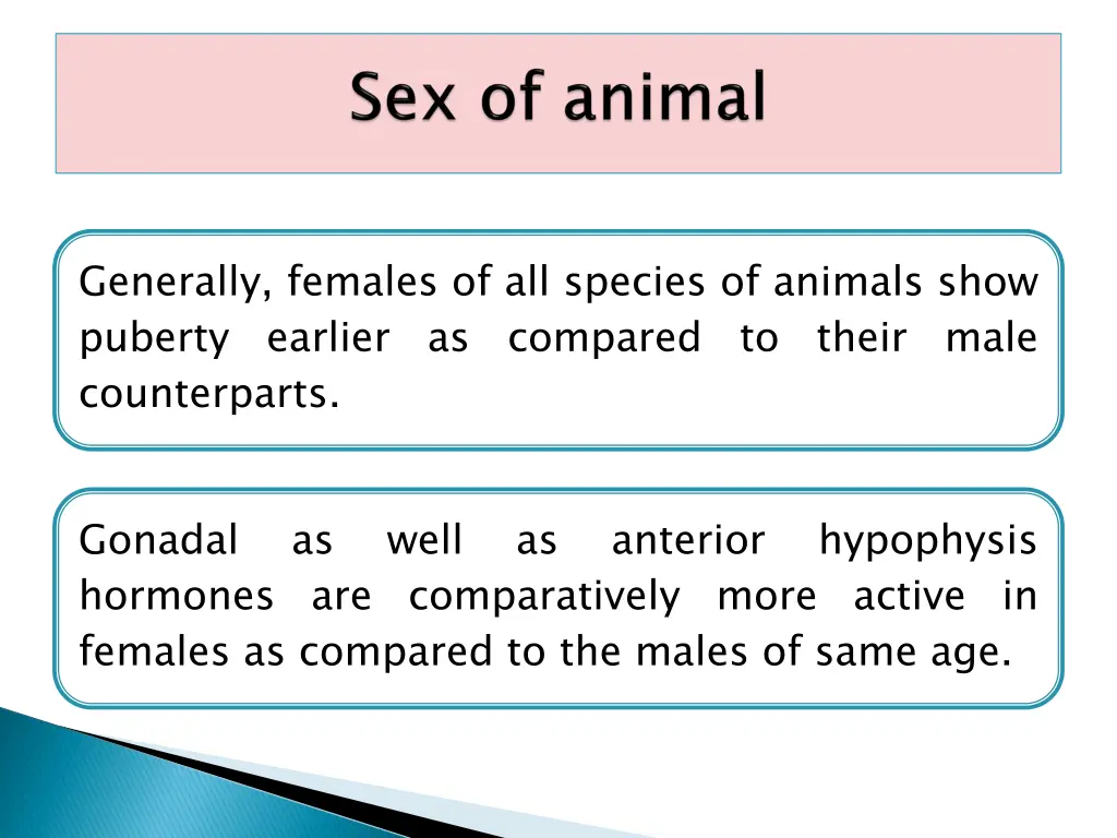 generally females of all species of animals show