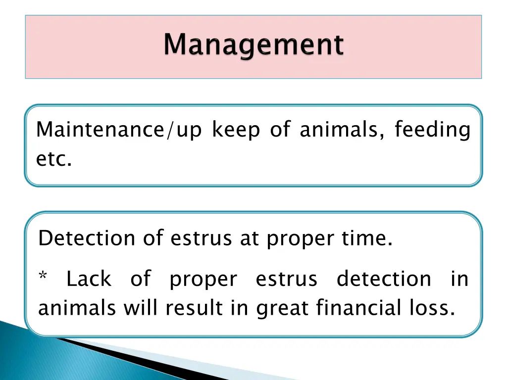 maintenance up keep of animals feeding etc