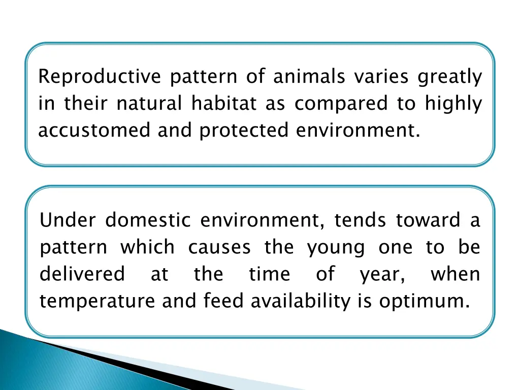 reproductive pattern of animals varies greatly