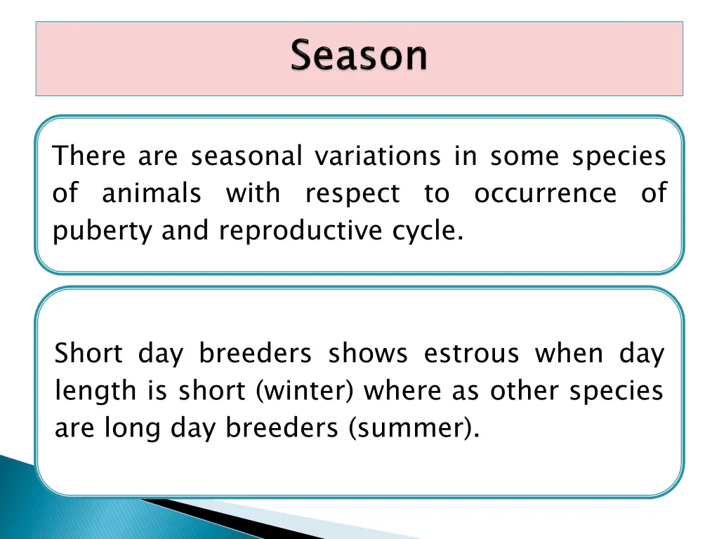 there are seasonal variations in some species