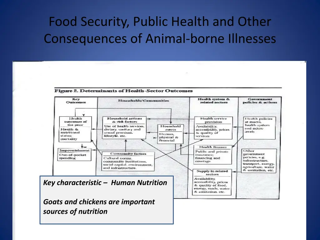 food security public health and other 2