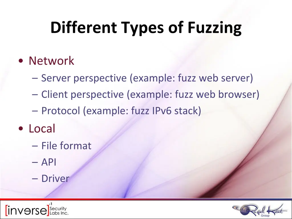 different types of fuzzing