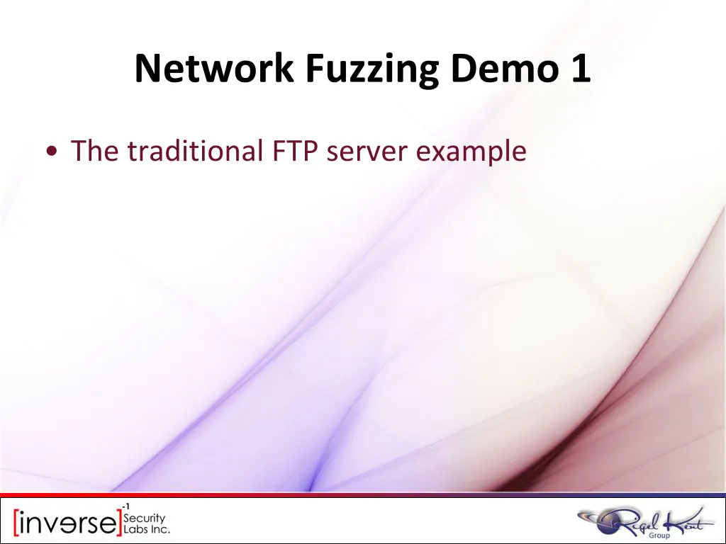 network fuzzing demo 1