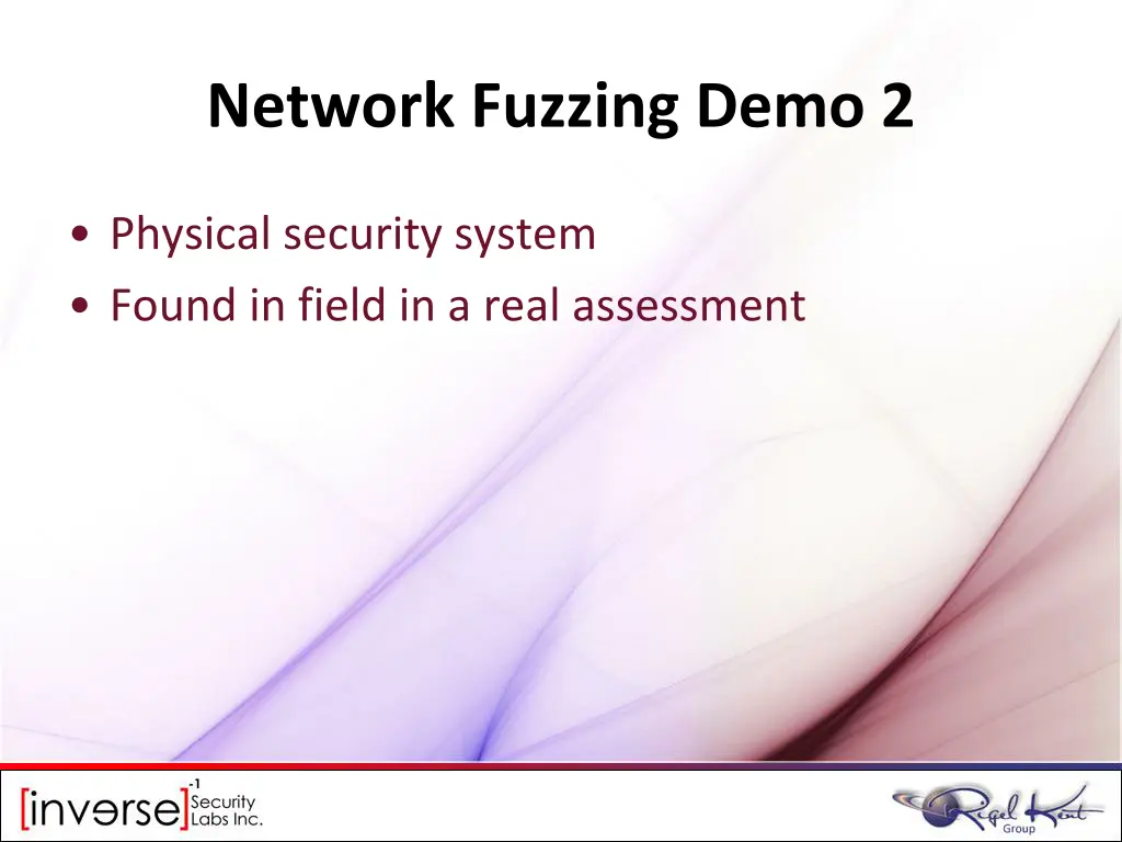 network fuzzing demo 2