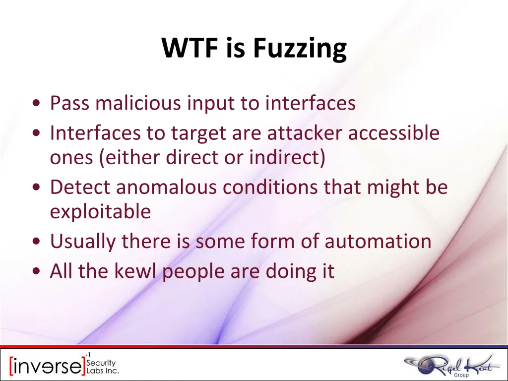 wtf is fuzzing