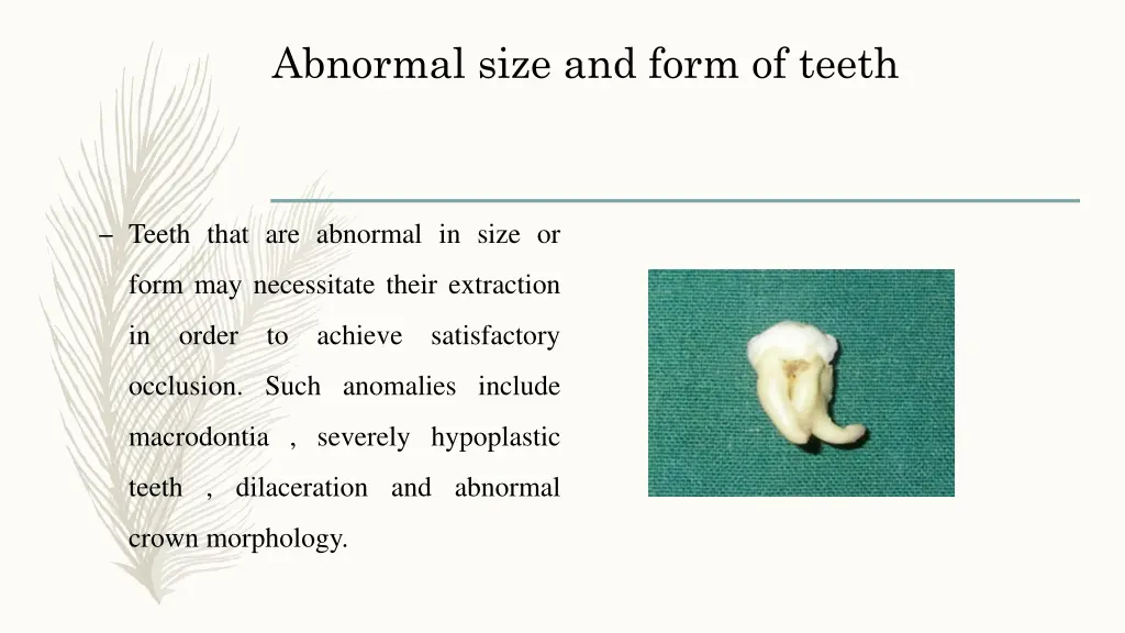 abnormal size and form of teeth