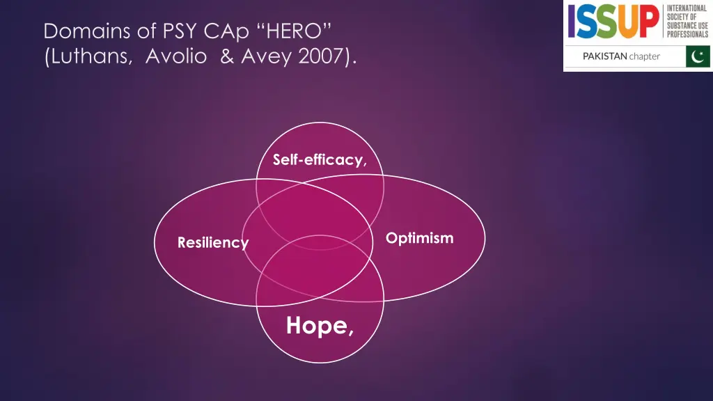 domains of psy cap hero luthans avolio avey 2007