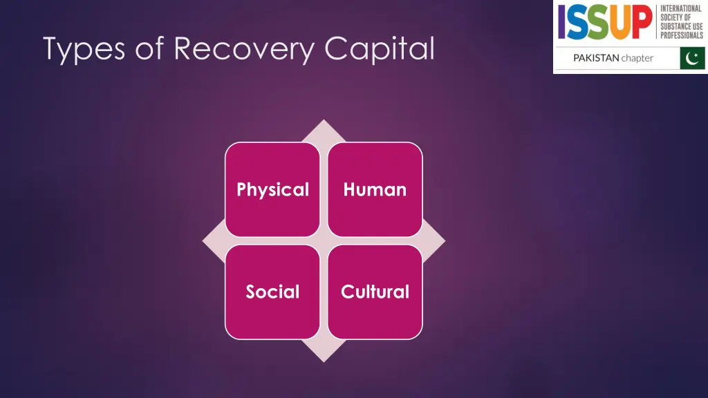 types of recovery capital