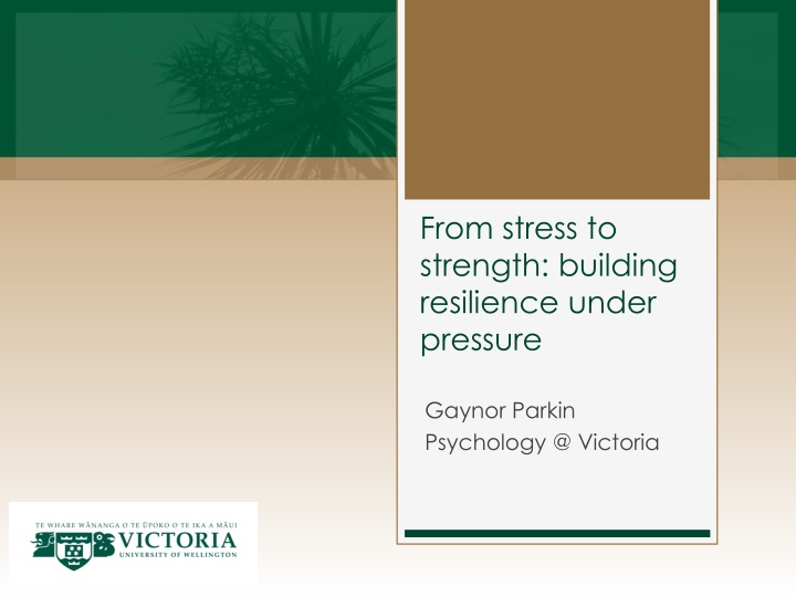 from stress to strength building resilience under