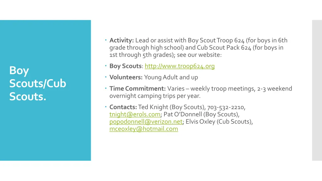 activity lead or assist with boy scout troop