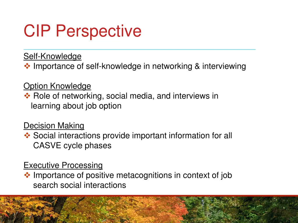 cip perspective