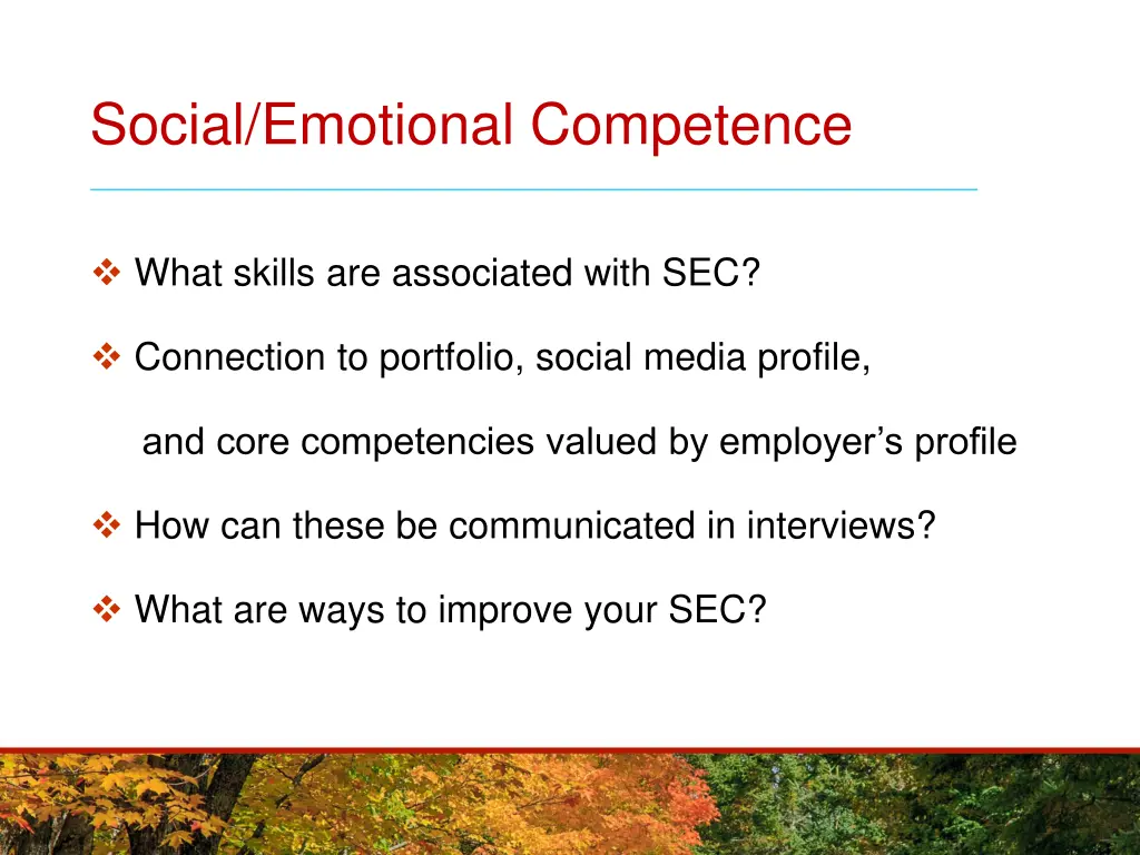 social emotional competence