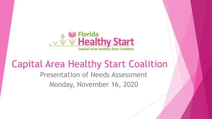 capital area healthy start coalition presentation