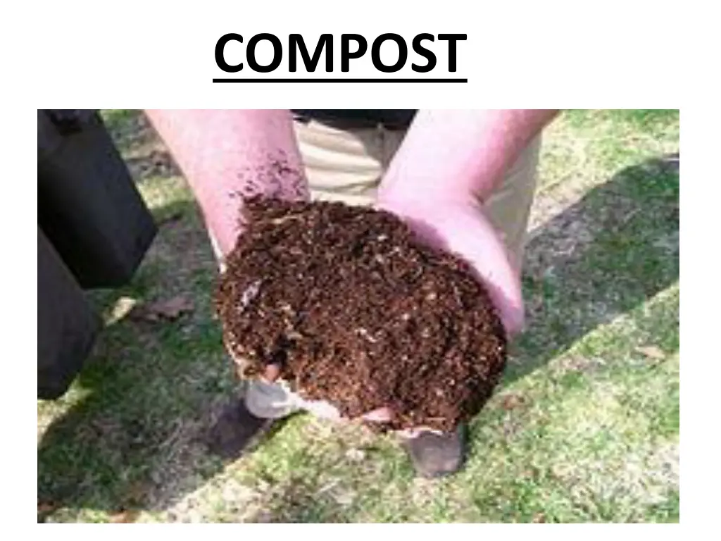 compost