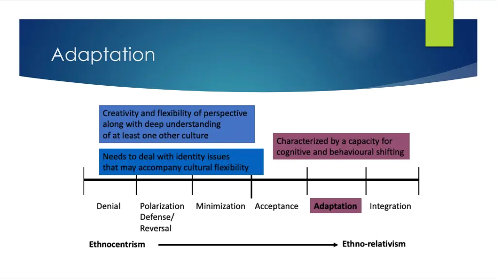 adaptation