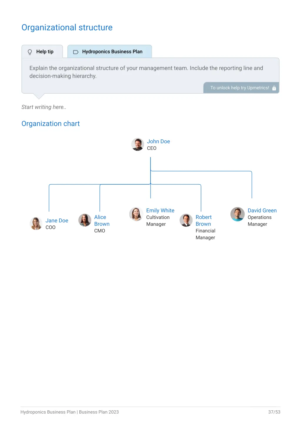 organizational structure