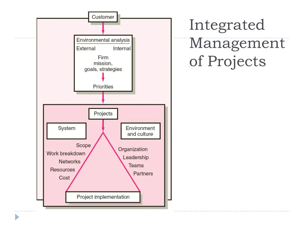 integrated management of projects