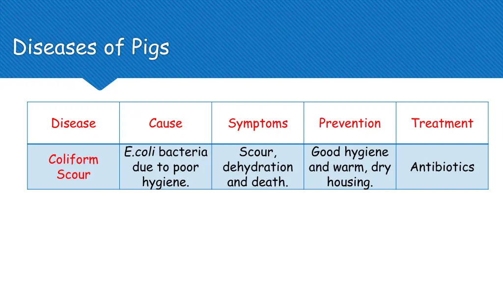 diseases of pigs 4