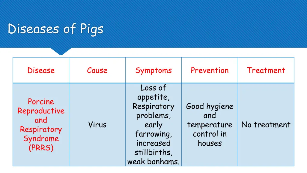 diseases of pigs 6