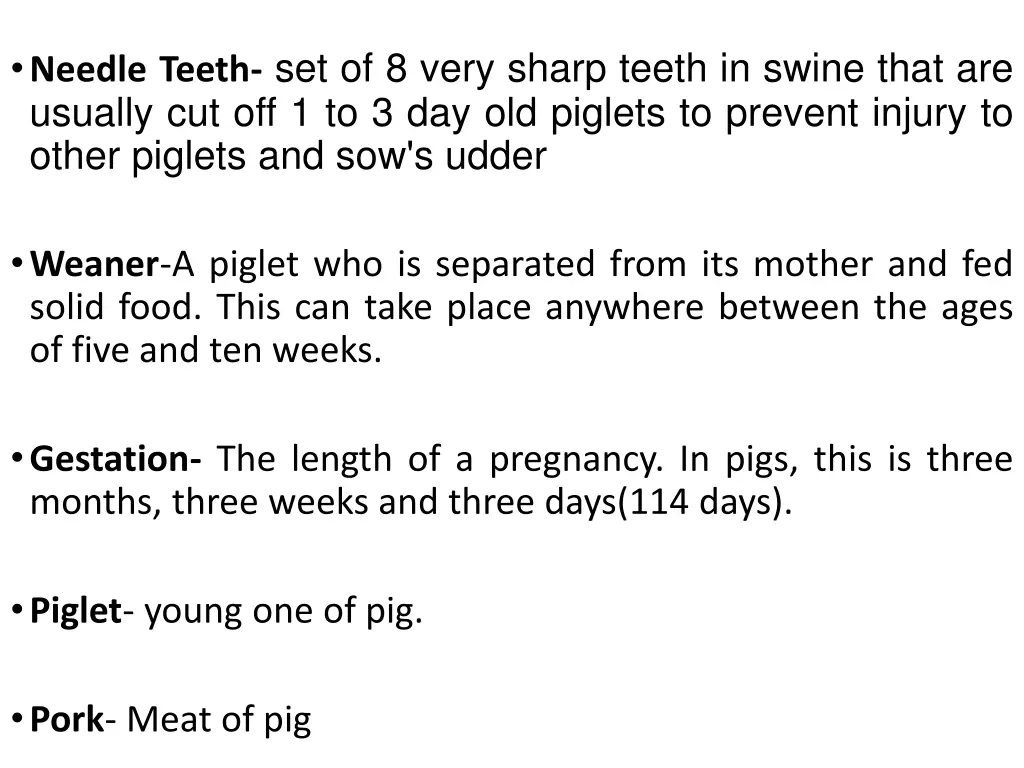 needle teeth set of 8 very sharp teeth in swine