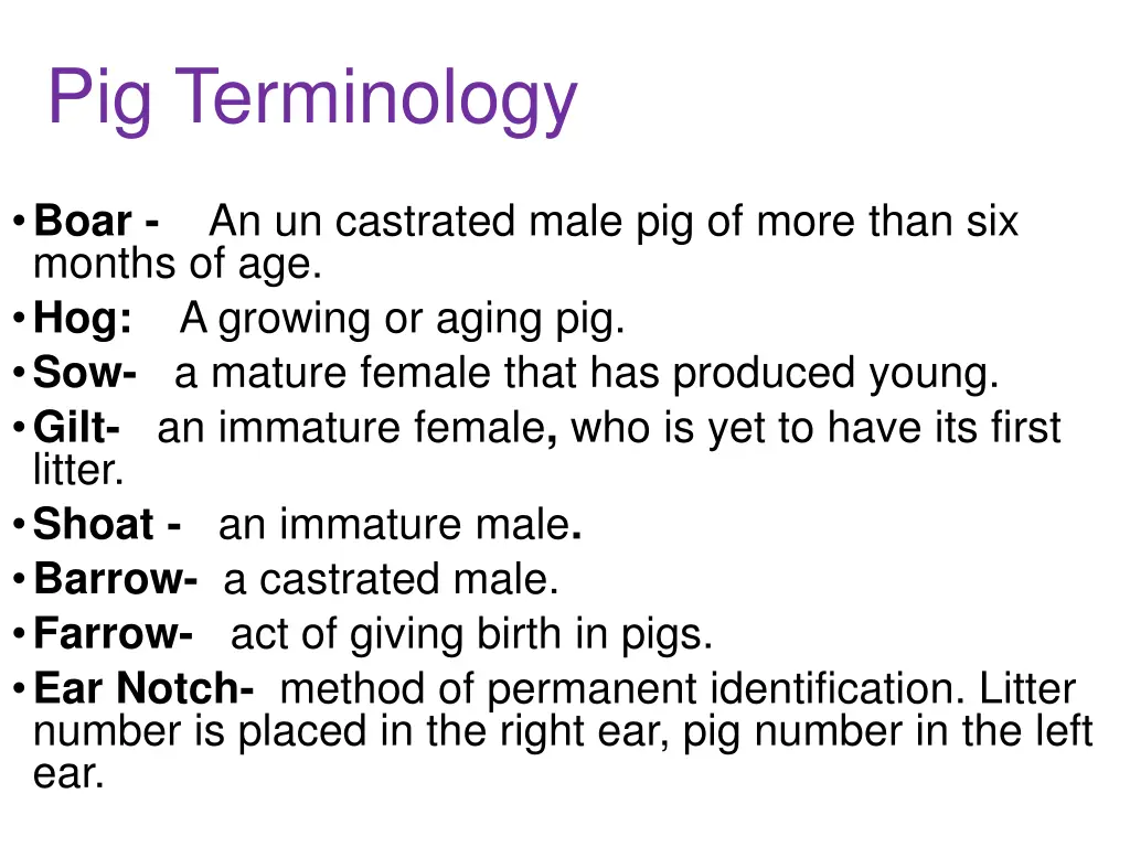 pig terminology