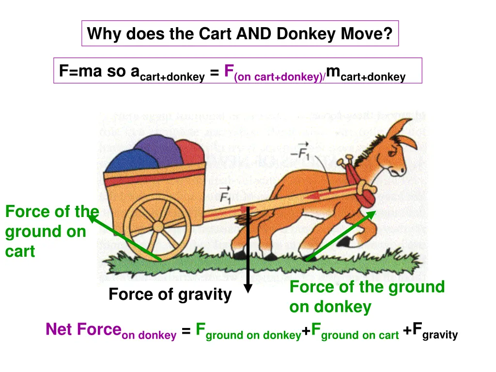 why does the cart and donkey move