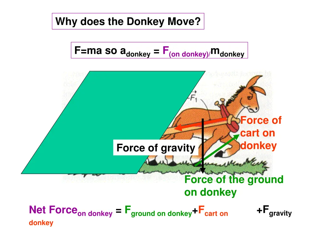 why does the donkey move