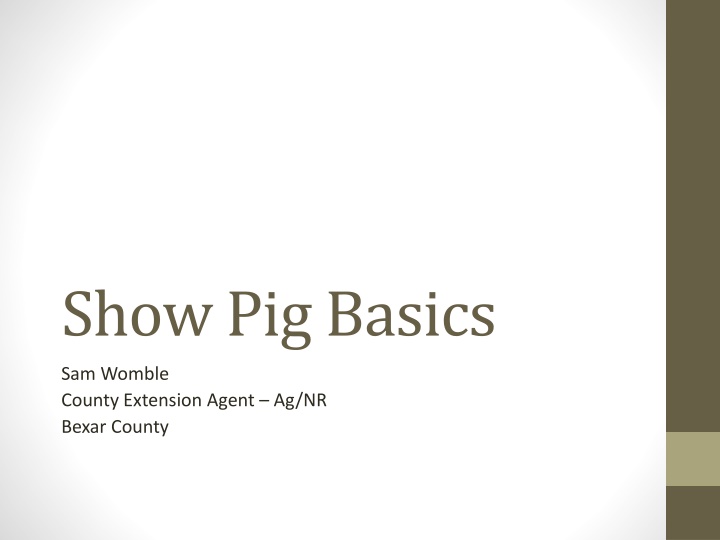 show pig basics