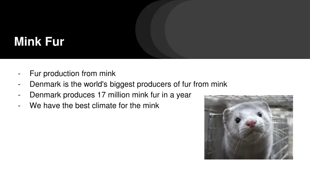 mink fur