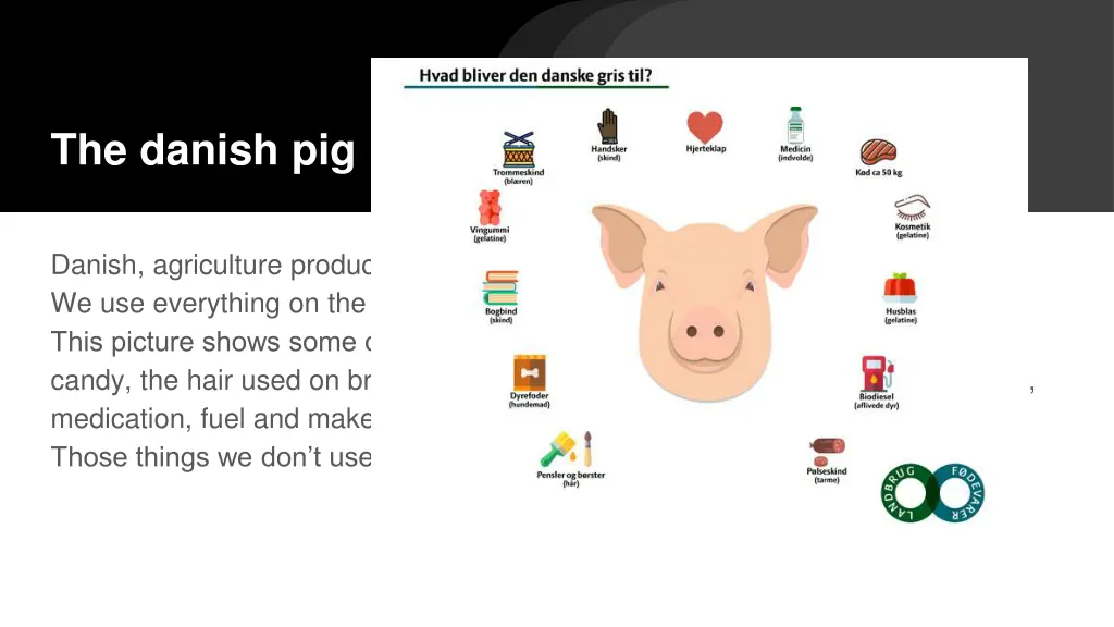 the danish pig