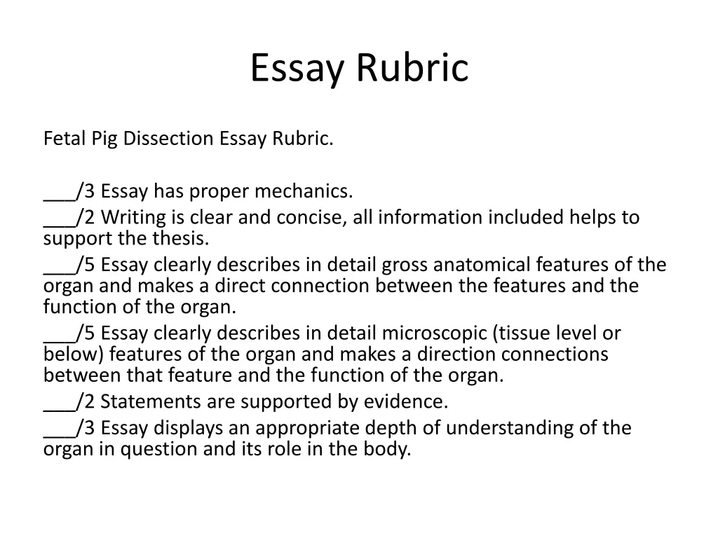 essay rubric