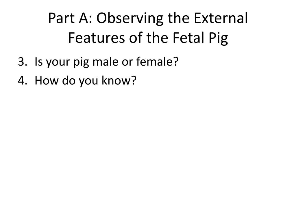 part a observing the external features 1