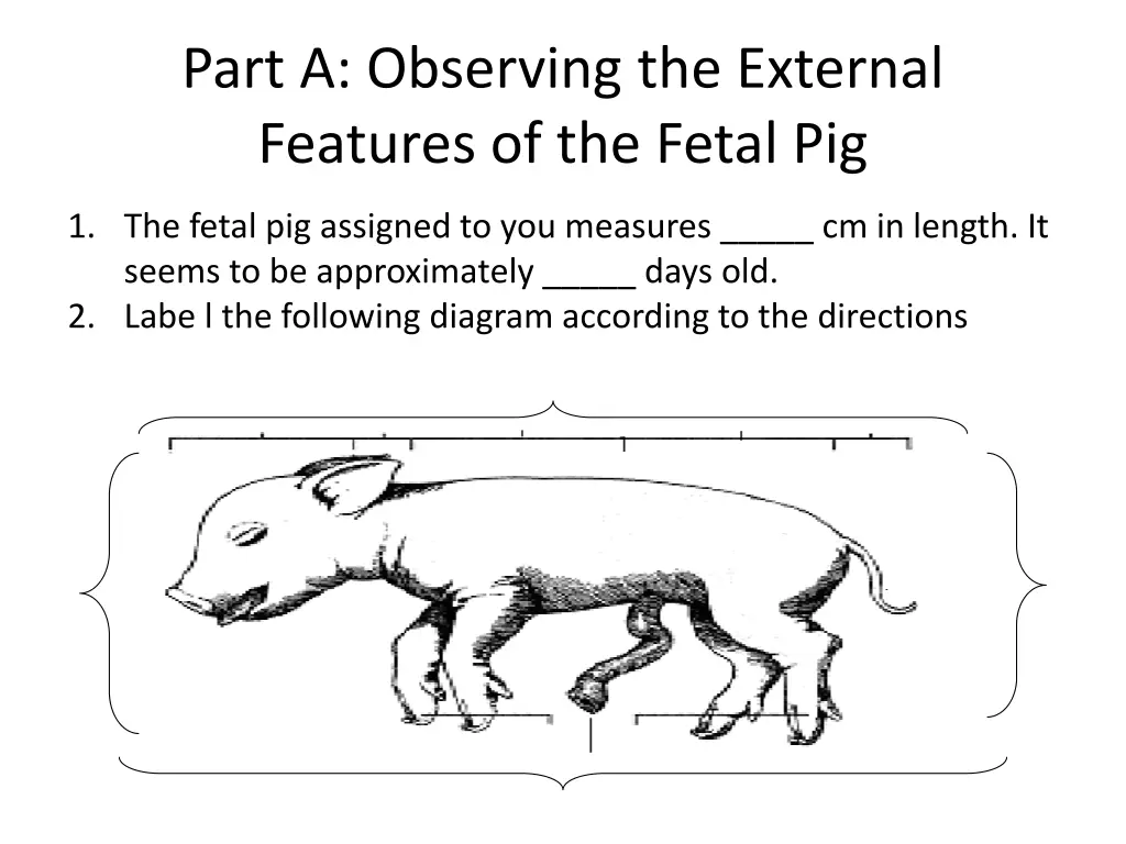 part a observing the external features