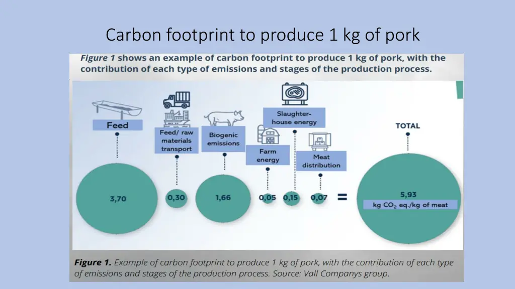 carbon footprint to produce 1 kg of pork