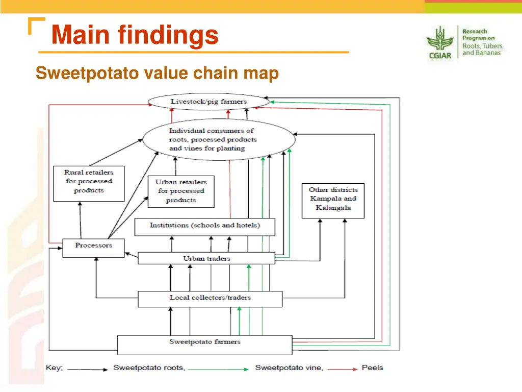 main findings