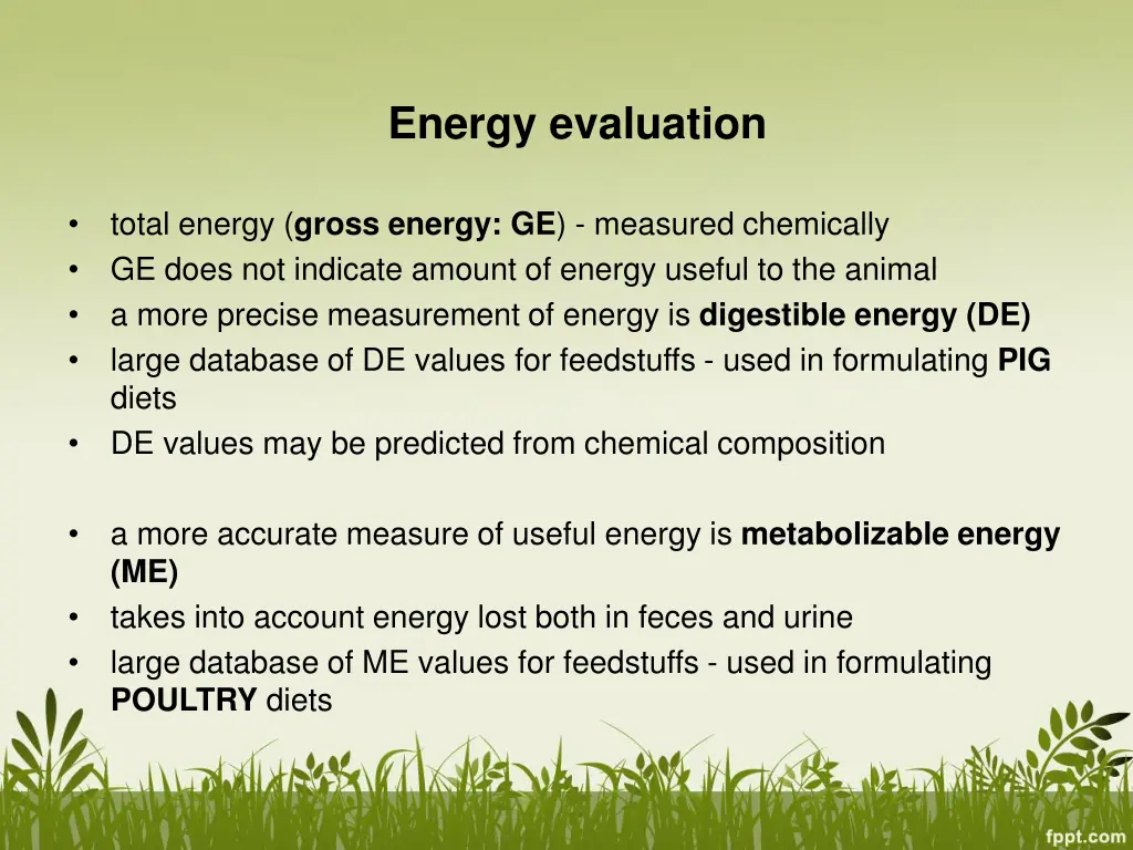 energy evaluation