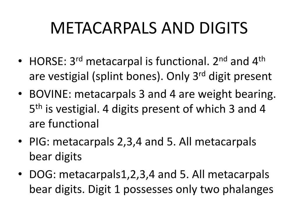 metacarpals and digits