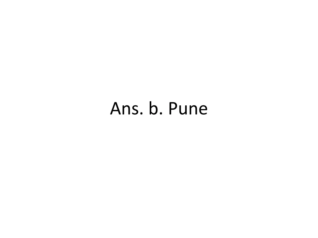 ans b pune