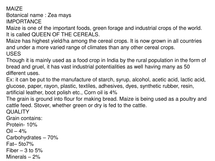 maize botanical name zea mays importance maize