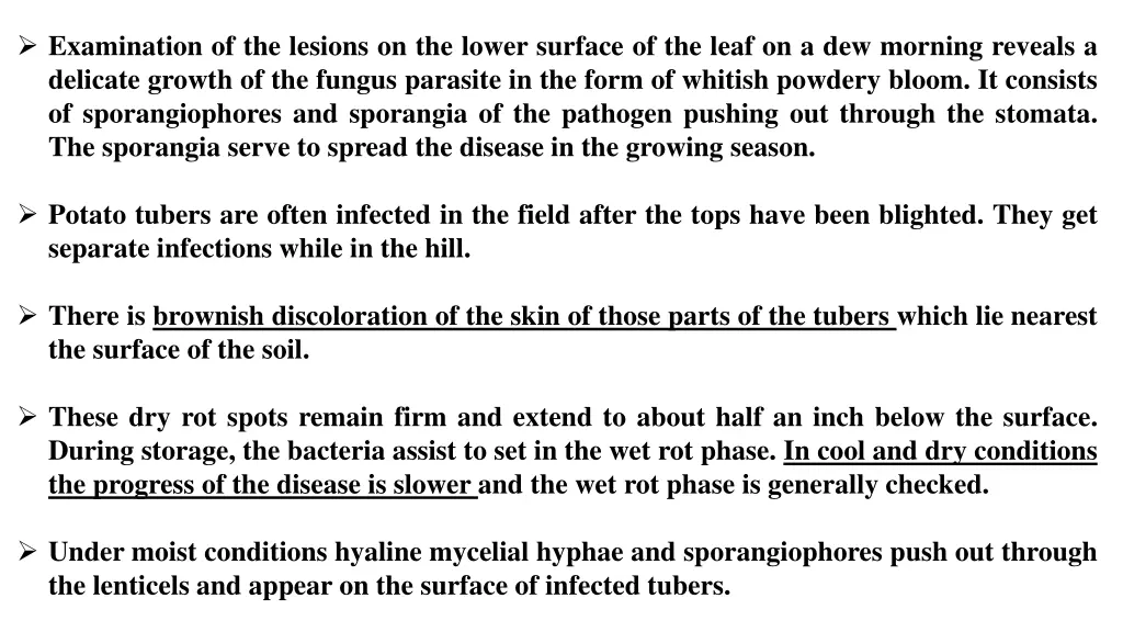 examination of the lesions on the lower surface