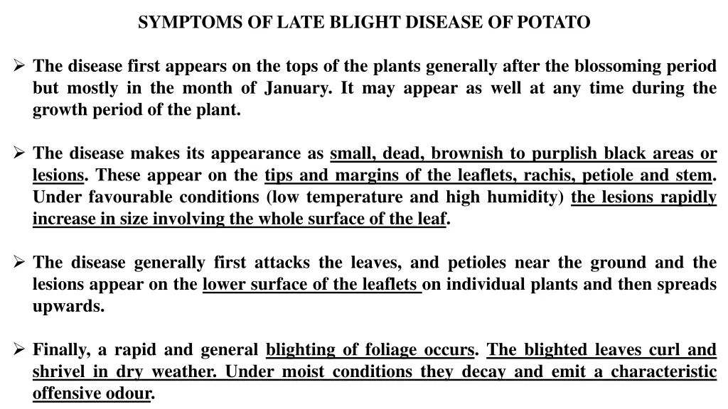 symptoms of late blight disease of potato