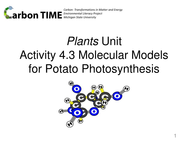 carbon transformations in matter and energy